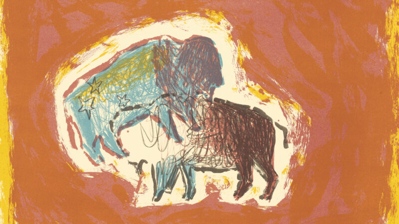 Two bison in multiple colors spread around the page with a red-ish orange background and a yellow border