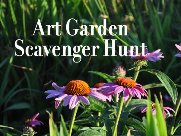 Photo of a pink cornflower with grass in the background and the words Art Garden Scavenger Hunt overlaid in a white font