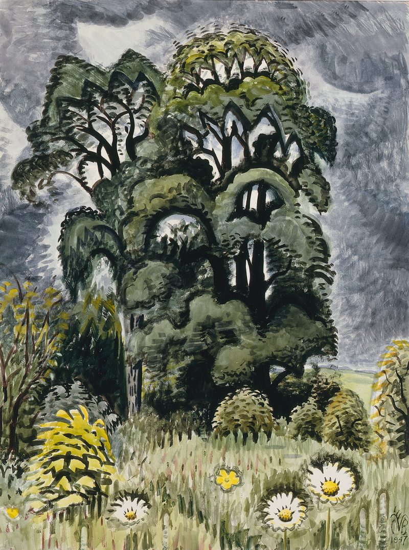 Trees and plants with a stormy sky.