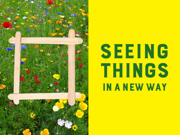 Green grass with twelve yellow flowers, five white flowers and eleven red flowers with the words Seeing Things in a New Way in green text on a yellow background
